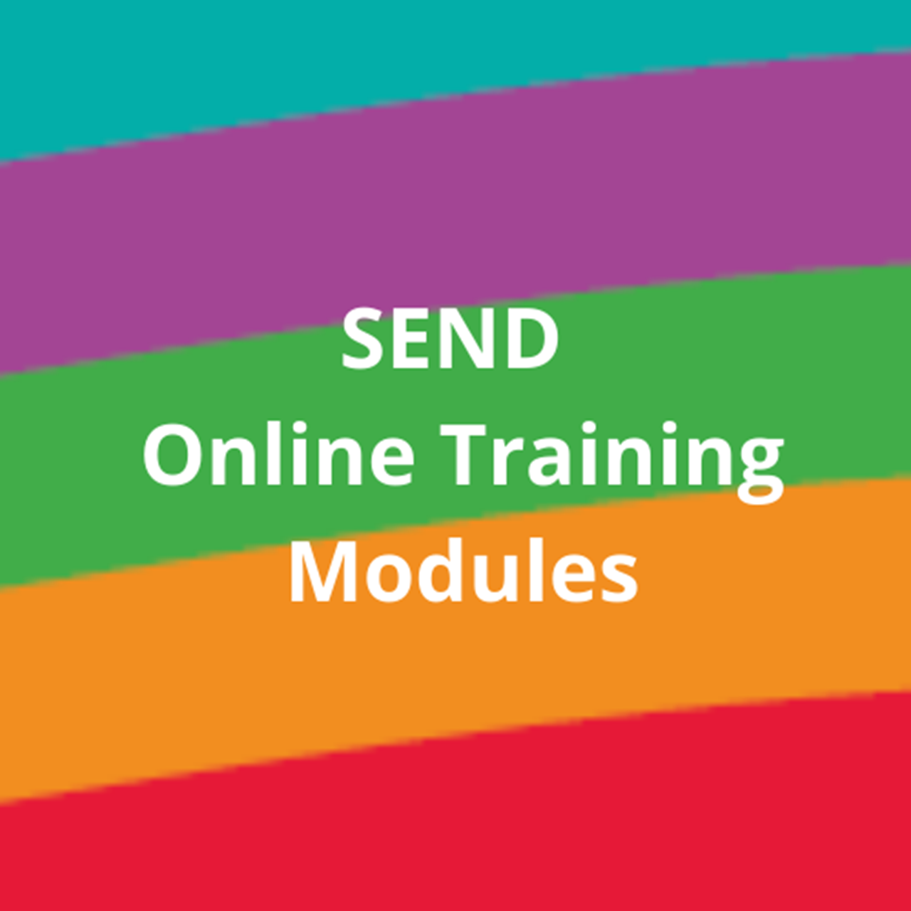 SEND online training modules DES