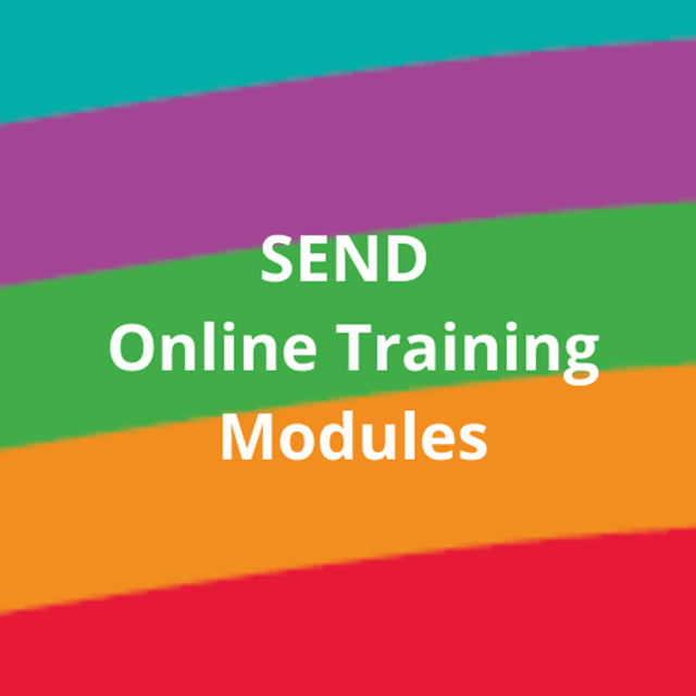 SEND Online Training