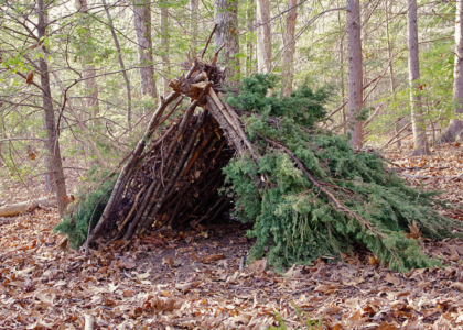 Shelter in a forest made of sticks and branches