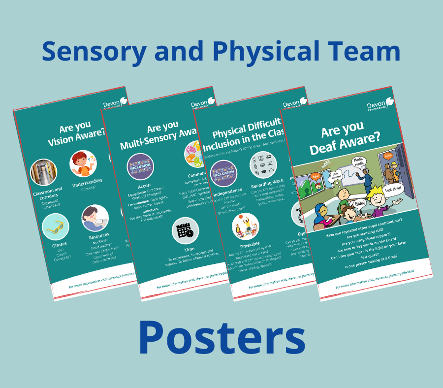 Sensory and Physical Team Posters - screen shots of the four posters