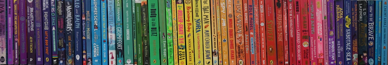 SLS Purple To Red To Blue Banner 25